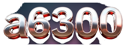 a6300 logo